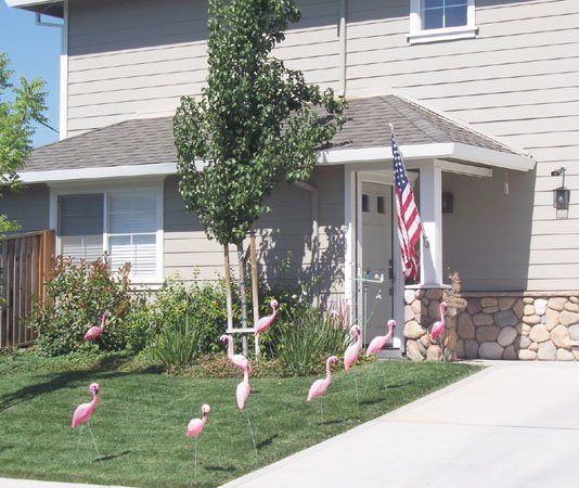 Youth Enlist Birds to Raise Money