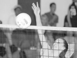 ‘Stangs Sunk by Hawks