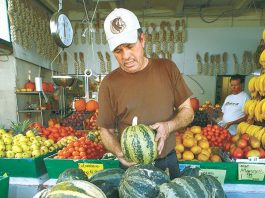 Oddly Shaped, Sure, but Delicious