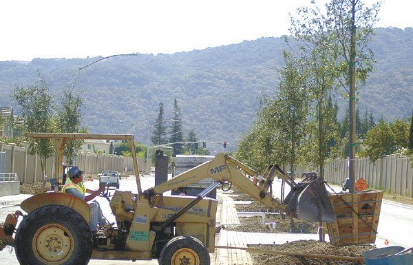10,000 Trees in Next Phase as Santa Teresa Work Forges On