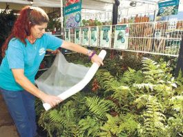 As Winter Nears, Plants Need Winter Coats, Too