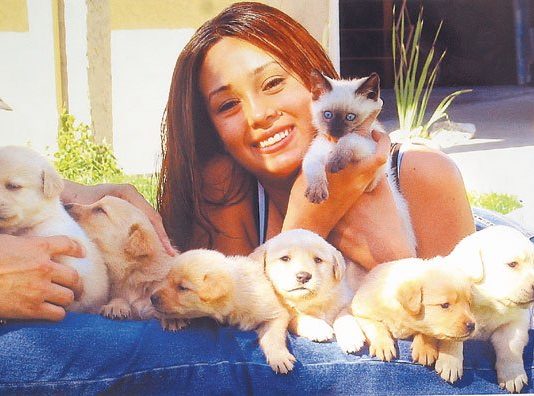 Stolen Puppies Found Safe and Sound