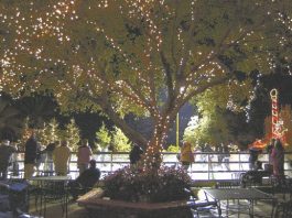 Slip Sliding Away …