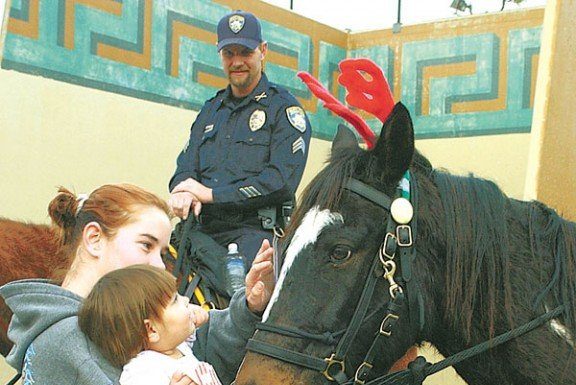 A Horse With Antlers