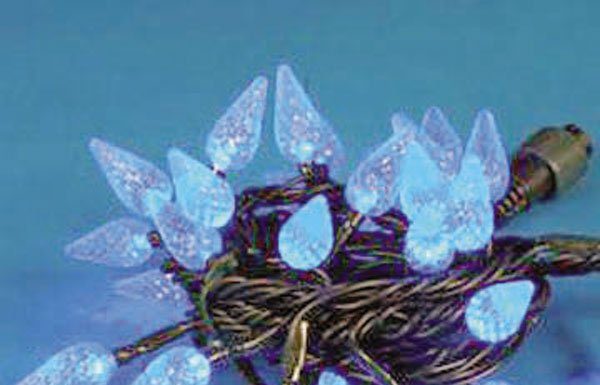 Playing Clark Griswold Doesn’t Have to Empty Wallet