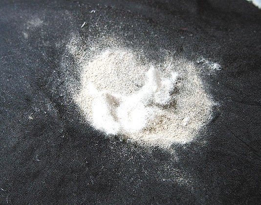 Strange Bedfellows Can Irritate Allergies