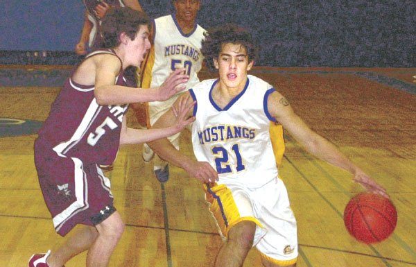 ‘Stangs Drown Sharks