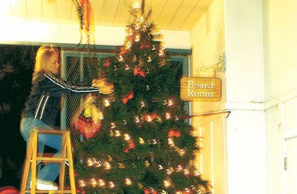 A Revitalized Celebration