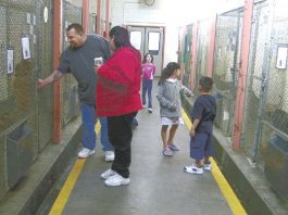 Newsroom Insider Jan. 4, 2006