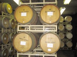 A Whole ‘Nother Animal