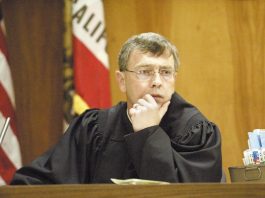 A View Behind the Bench