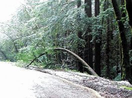 Wild Weather Creates Weekend Chaos