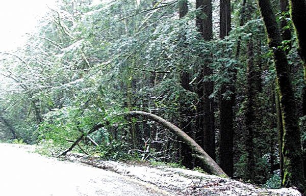 Wild Weather Creates Weekend Chaos