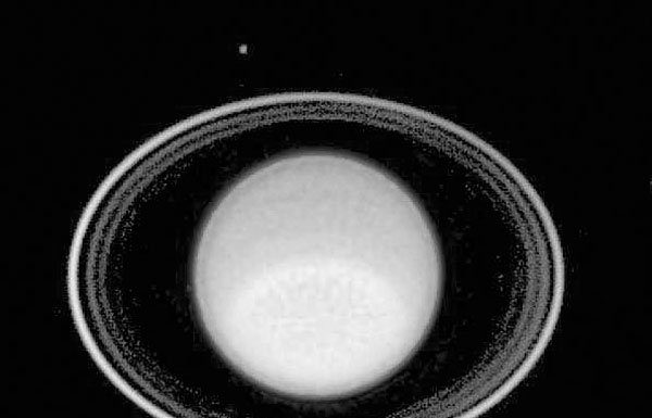 Watch for the Lion’s Heart