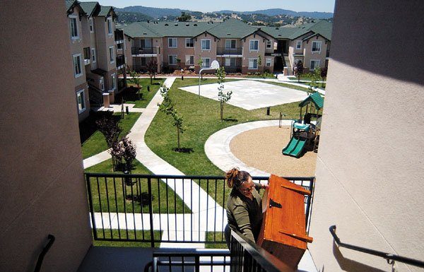 Firework Citations May Reach $500