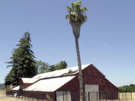 Historic Barn to be Razed