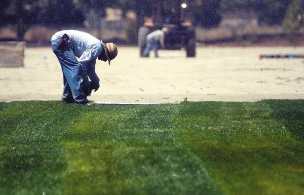 Stepping It Up at Gilroy’s New Sports Park