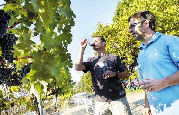Local Vintners Strut Their Stuff