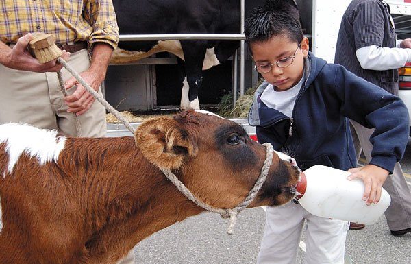 A MOOOvable Classroom