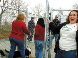 Four-Legged Friends Frolic at New Park