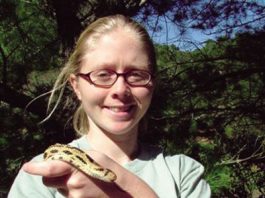 Snakes have Undeserved Reputation – Even