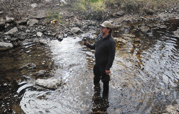 Waste Chokes Creek Life