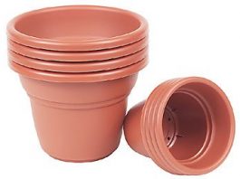 The Scoop on Epsom Salts and Why it’s Good for Your Garden