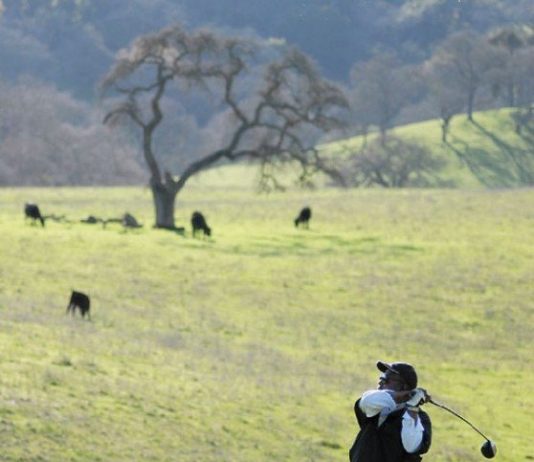 Golf Course Project Putts Along