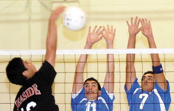 Seaside Mighty Mites Too Much