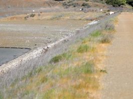 Trouble – Uvas Drying Up Fast