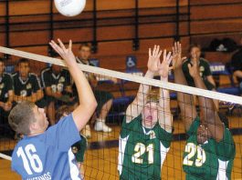 Toreadores Too Tough for Mustangs