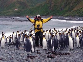 Cat Games and Penguin Parties