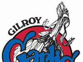 Garlic Recipes Streaming In