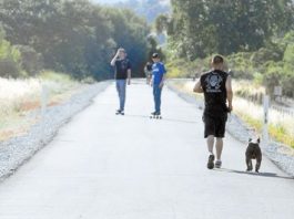 Levee Rape Still Rattles Some