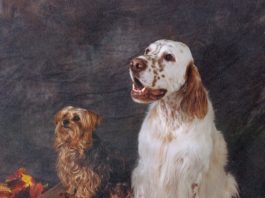 He Was More Than Just the Family Dog