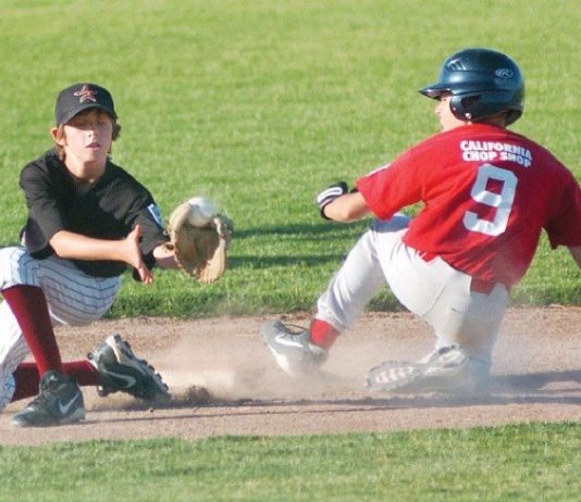 Cardinals Fly by Astros to Advance