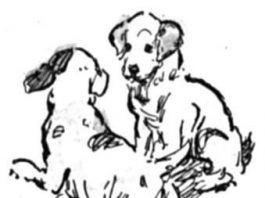 Wine Labels Embrace a Decidedly Critter Culture