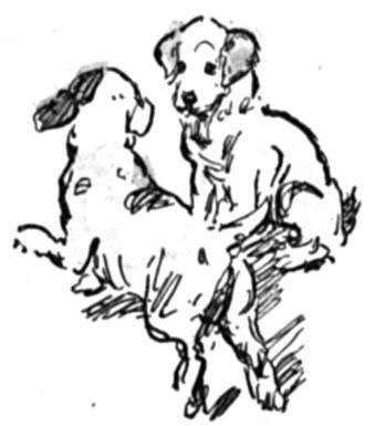 Wine Labels Embrace a Decidedly Critter Culture