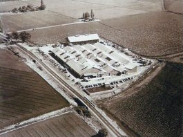 Gilroy’s Garlic Roots