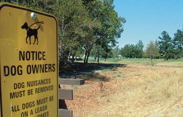 ‘Bowser’ Gets a Bone: Dog Park Planned