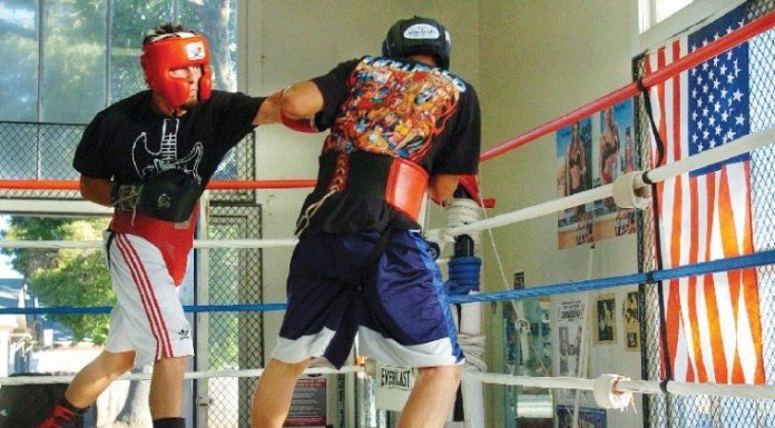 Sweet Science of Sparring