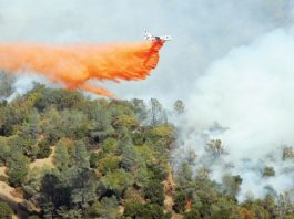 Park Fire Suspect Comes Forward