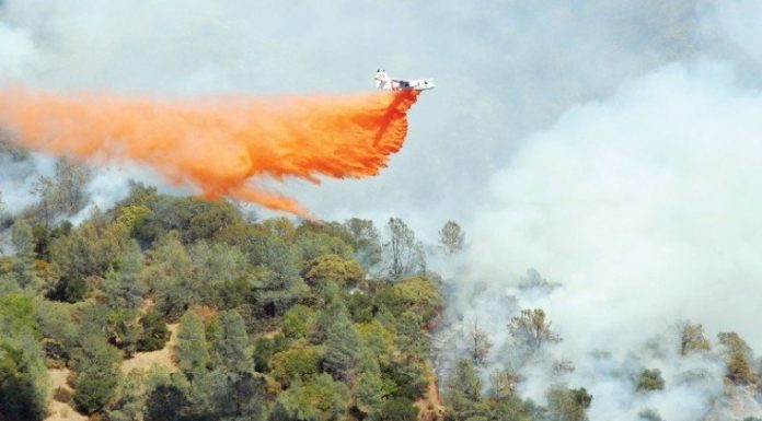 Fire Scorches Coe Park