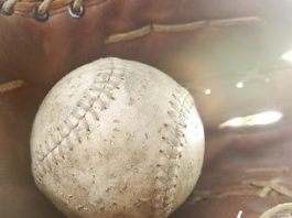 Team Pipe-Net Plugs Up Team Whaaat