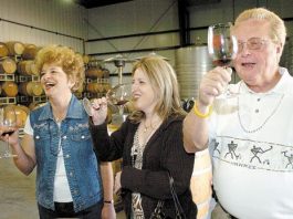 Sycamore Creek Finds Its Niche