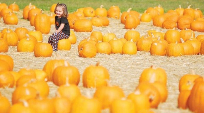 On top of the pumpkin world