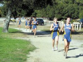 Runners Enjoying Recent Success on the Trails