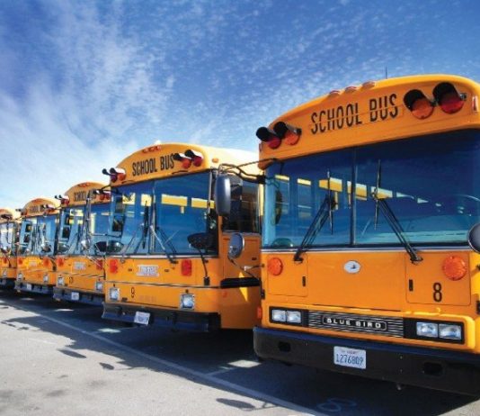 Transportation cuts thwarted by gas prices