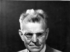 Consider the King Hubbert energy diet