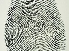 Police blotter: Controlled substance arrest